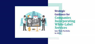 Strategic Guidance for Companies Incorporating White-Label Services into Their Portfolio in 2024